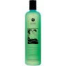 Гель для душа SHUNGA SENSUAL MINT (ЧУВСТВЕННАЯ МЯТА) 6500 SG